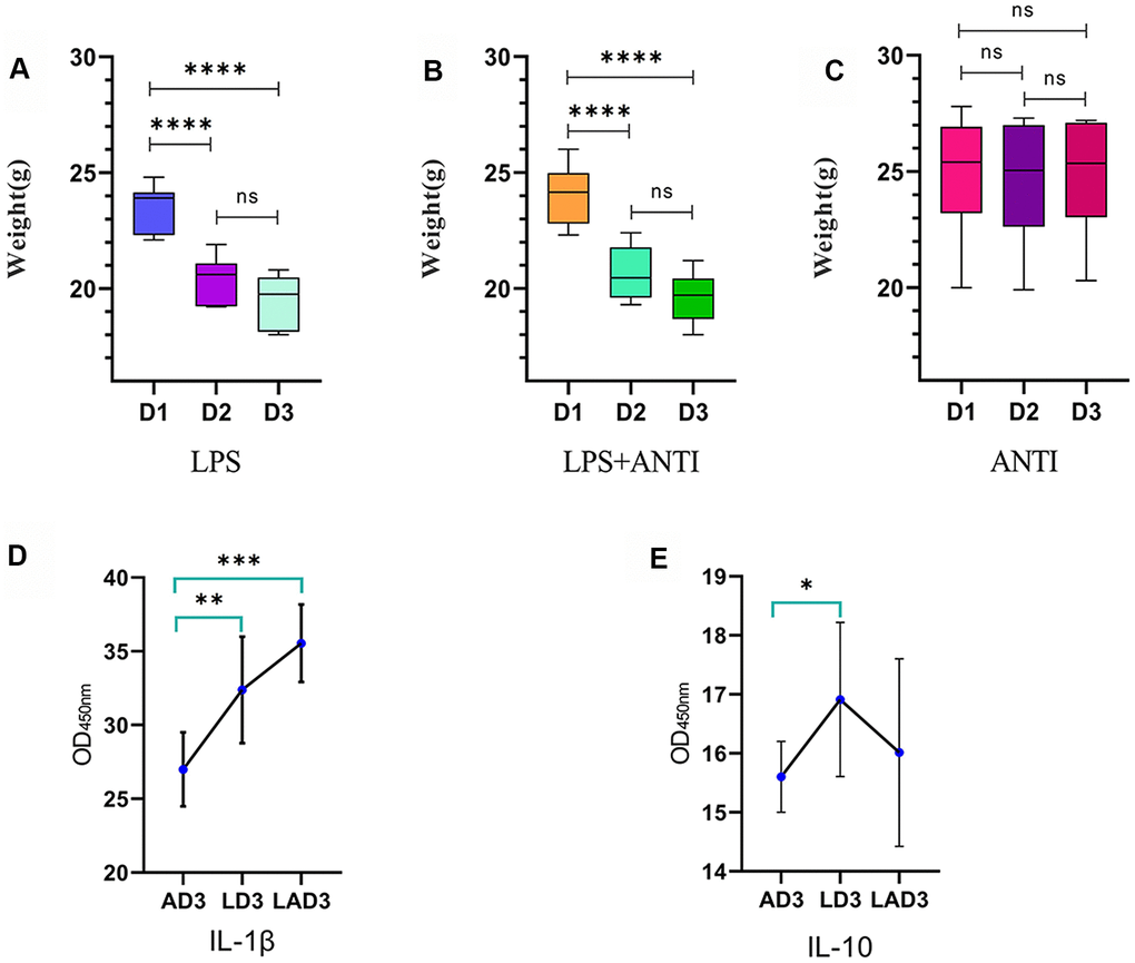 Weight change trend of LPS group, LPS + antibiotic group and antibiotic group before and after administration. (A) The weight change trend of mice in LPS group from day 1 to day 3 (D1, D2, D3), and the levels of IL-1 β and IL-10 in intestinal tract (AD3, LD3 and LAD3) on the third day after administration were detected by ELISA. (B) The body weight of mice in LPS + antibiotic group changed from day 1 to day 3 (D1, D2, D3). (C) The weight change trend of mice in antibiotic group from day 1 to day 3 (D1, D2, D3). (D) The levels of IL-1 β in AD3, LD3 and LAD3 groups were compared. *P0.05. (E) The levels of IL-10 in AD3, LD3 and LAD3 groups were compared.*P0.05.