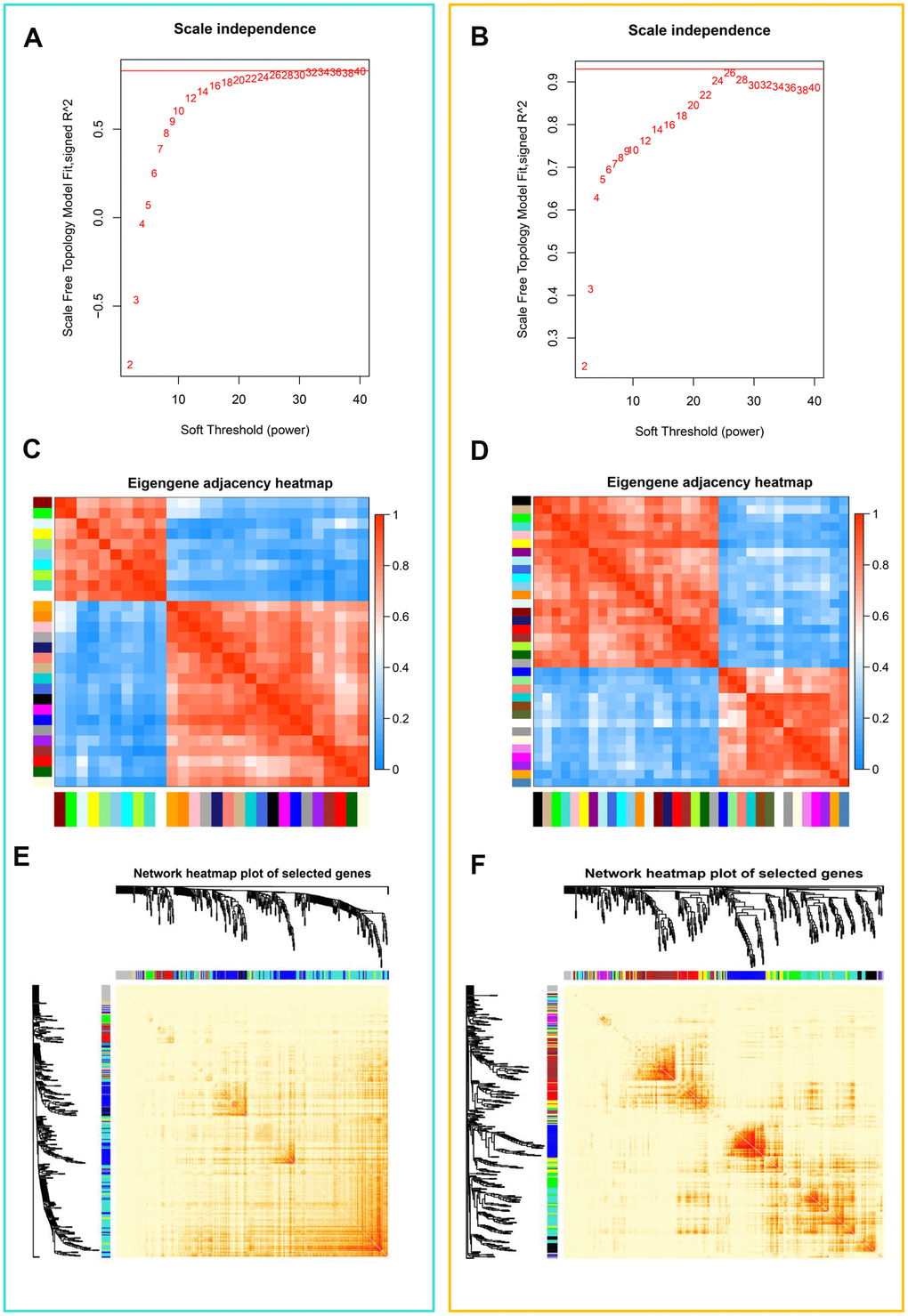 Weighted gene co-expression network analysis (WGCNA) of genes in teratozoospermia. (A) Analysis of the scale-free fit index for various soft thresholding powers (β) from the dataset GSE6872. (B) Analysis of the scale-free fit index for various soft thresholding powers (β) from the dataset GSE6967. (C) Heatmap plot of the adjacencies in the eigengene network from the dataset GSE6872. Each row and column in the heatmap corresponds to one module eigengene (labeled by color). In the heatmap, blue color represents low adjacency (negative correlation), while red represents high adjacency (positive correlation). Squares of red color along the diagonal are the meta-modules. (D) Heatmap plot of the adjacencies in the eigengene network from the dataset GSE6967. (E) Heat map plot shows the topological overlap matrix (TOM) among randomly selected 400 genes from the dataset GSE6872. Light color shows low overlap, and red color indicates higher overlap. The left side and the top side show the gene dendrogram and module assignment. (F) Heat map plot shows the topological overlap matrix (TOM) among randomly selected 400 genes from the dataset GSE6967.