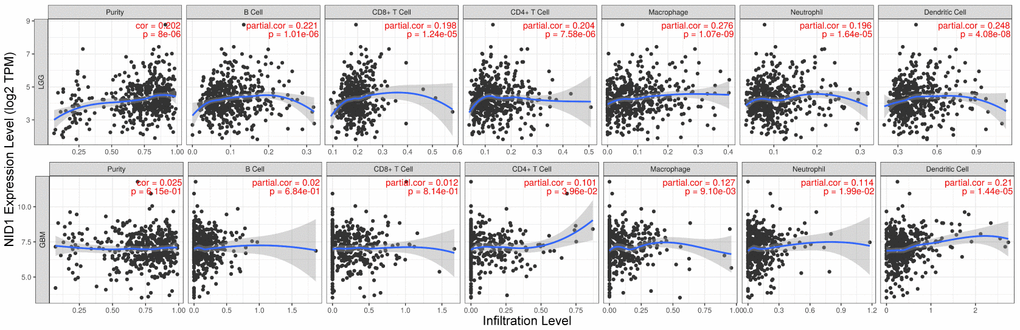 Higher NID1 expression correlates with increased tumor infiltration of multiple immune cell types. TIMER database analysis shows correlation between NID1 expression levels in LGG (top) and GBM (bottom) patient tissues and tumor infiltration levels of immune cell types, namely, B cells, CD8+ T cells, CD4+T cells, macrophages, neutrophils, and dendritic cells. Each dot corresponds to a glioma patient (LGG or GBM). The blue line represents median levels of tumor-infiltrated immune cells.