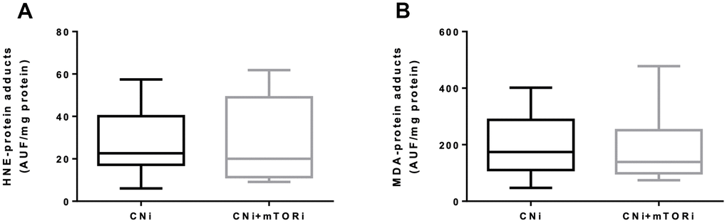 Serum levels of fluorescent hydroxynonenal- (HNE, A) and malondialdehyde- (MDA, B) protein adducts in patients treated with calcineurin inhibitor (CNi) or CNi + mTOR inhibitor (CNi+mTORi). AUF, arbitrary units of fluorescence.