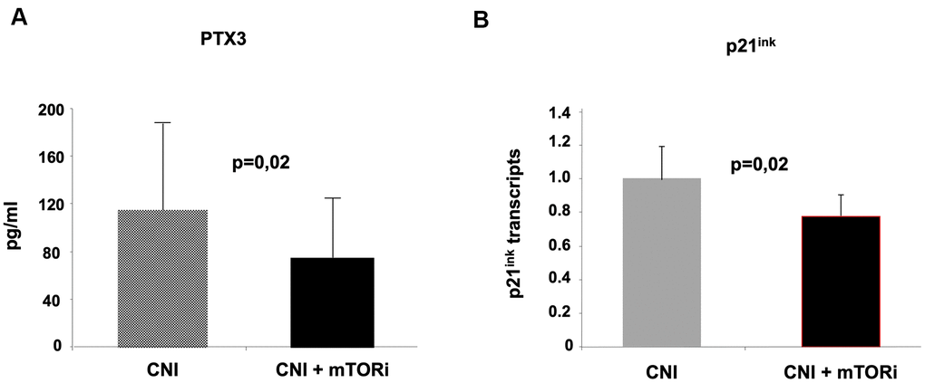 Evaluation of pentraxin-3 and p21ink as markers of inflammaging in the two groups of kidney transplant recipients. The inhibition of mTOR pathways in group (B) was associated with reduced circulating levels of Pentraxin-3 (A) and down-regulation of p21 in PBMC (real-time PCR).