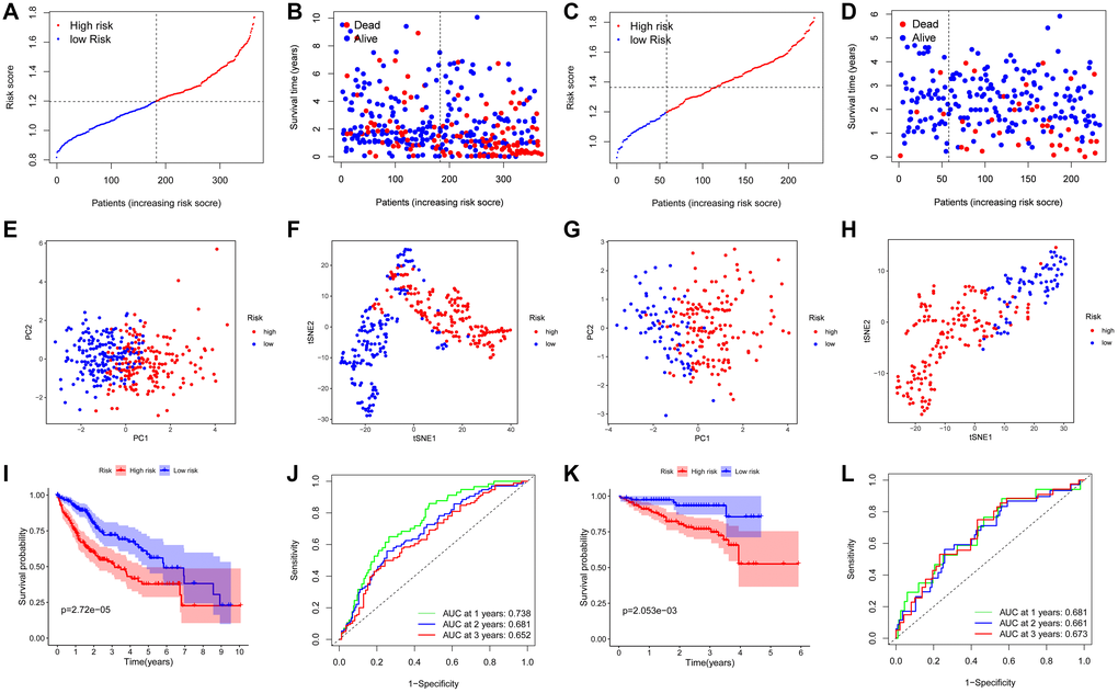 Prognostic analysis of the 5-gene signature model in the TCGA cohort and ICGC cohort. TCGA cohort (A, B, E, F, I, J), ICGC cohort (C, D, G, H, K, L). (A, C) The distribution and median value of the risk scores. (B, D) Distributions of the overall survival (OS) status. (E, G) PCA plot. (F, H) t-SNE analysis. (I, K) Kaplan-Meier curves for OS of patients in the high-risk group and low-risk group. (J, L) Time-dependent ROC curves for OS.
