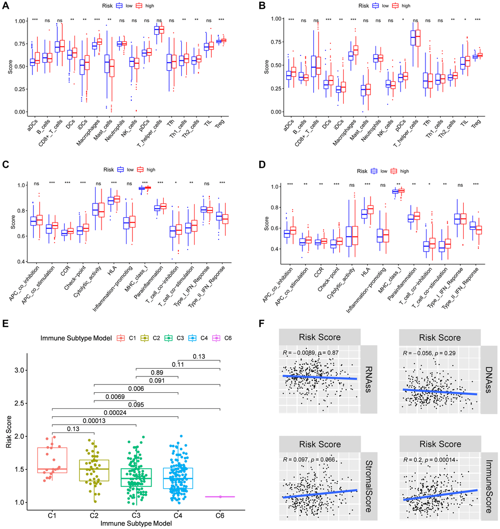 Immune status between different risk groups and the association of risk score with the tumor microenvironment. TCGA cohort (A, C), ICGC cohort (B, D). (A, B) The scores of 16 immune cells. (C, D) The boxplots showing the 13 immune-related functions. (E) Comparison of the risk scores between different immune infiltrate subtypes. (F) The relationship of risk score with RNAss, DNAss, Stromal Score and Immune Score. P values are showed as: ns, not significant; *P **P ***P 