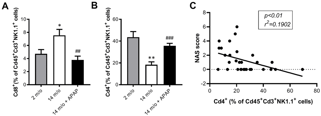 Analysis of NKT subpopulations in PBMCs from 2 m/o, 14 m/o and 14 m/o + APAP mice by flow cytometry. (A) Percentage of Cd8+ cells from Cd45+Cd3+NK1.1+ cells. (B) Percentage of Cd4+ cells from Cd45+Cd3+NK1.1+ cells. (C) Linear regression between NAS score and Cd4+ cells from Cd45+Cd3+NK1.1+ cells in PBMCs. Data are represented as the mean ± S.E.M. (n = 9-14 mice per group). Statistical analysis was performed by Brown-Forsythe and Welch ANOVA test followed by their respective post-hoc test. * P P vs. 2 m/o; ##P ###P vs. 14 m/o.