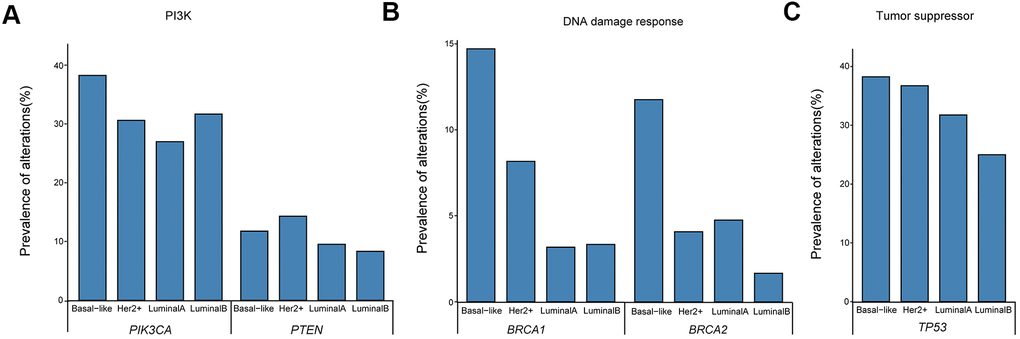 Prevalence of ctDNA oncogenic mutations in the (A) PI3K pathway and loss-of-function mutations in (B) DNA damage response and (C) tumor suppressor pathways. ctDNA, circulating tumor-derived DNA.