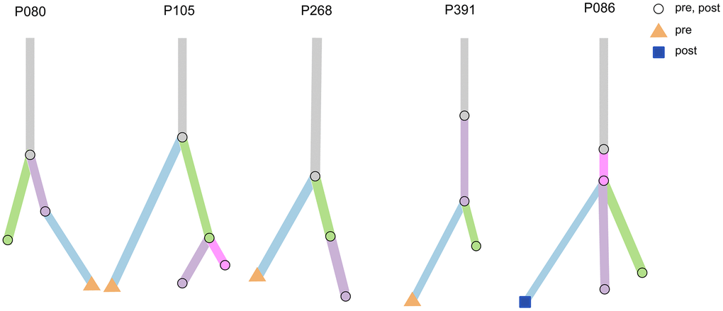 Clonal analysis of multiple testing in five patients. Five examples of evolutionary trees. The circles represent mutations present in both pre-treatment and post-treatment; the triangles represent mutations present only in pre-treatment, and squares represent mutations present only in post-treatment.