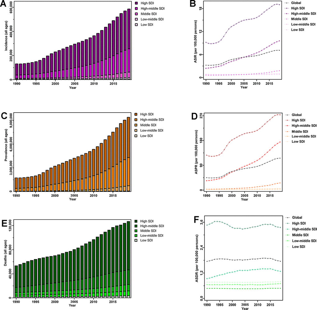 The disease burden of CAVD globally, and in five SDI quintiles from 1990 to 2019. (A) Incident cases; (B) ASIR; (C) prevalent cases; (D) ASPR; (E) deaths; (F) ASDR. Abbreviations: CAVD, calcific aortic valve disease; SDI, socio-demographic index; ASIR, age-standardized incidence rate; ASPR, age-standardized prevalence rate; ASDR, age-standardized deaths rate.