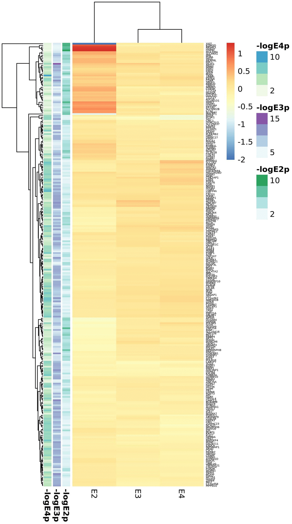 Top candidates from DE analysis in cortex datasets.