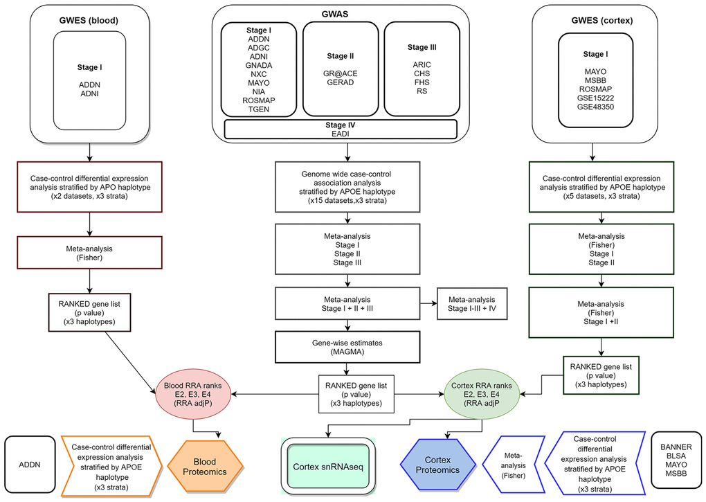 Integrative analysis workflow.