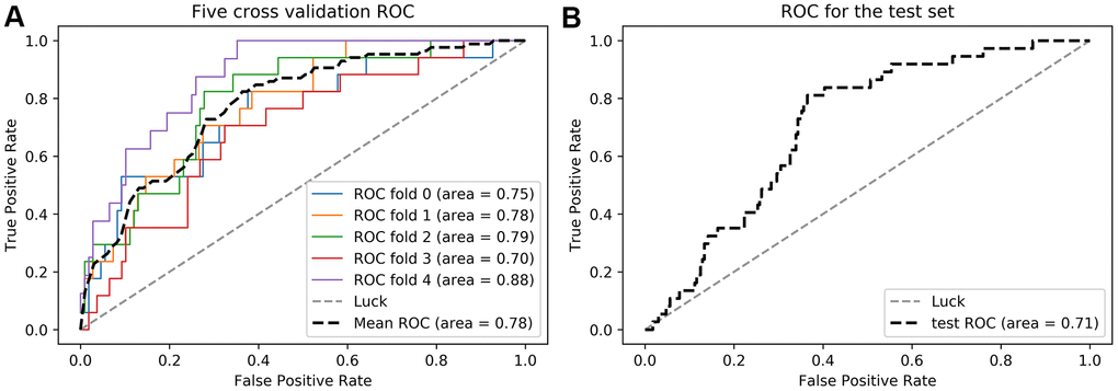 Receiver operator curves (ROC) of the radiomics-clinical model in the training (A) and testing (B) cohorts.