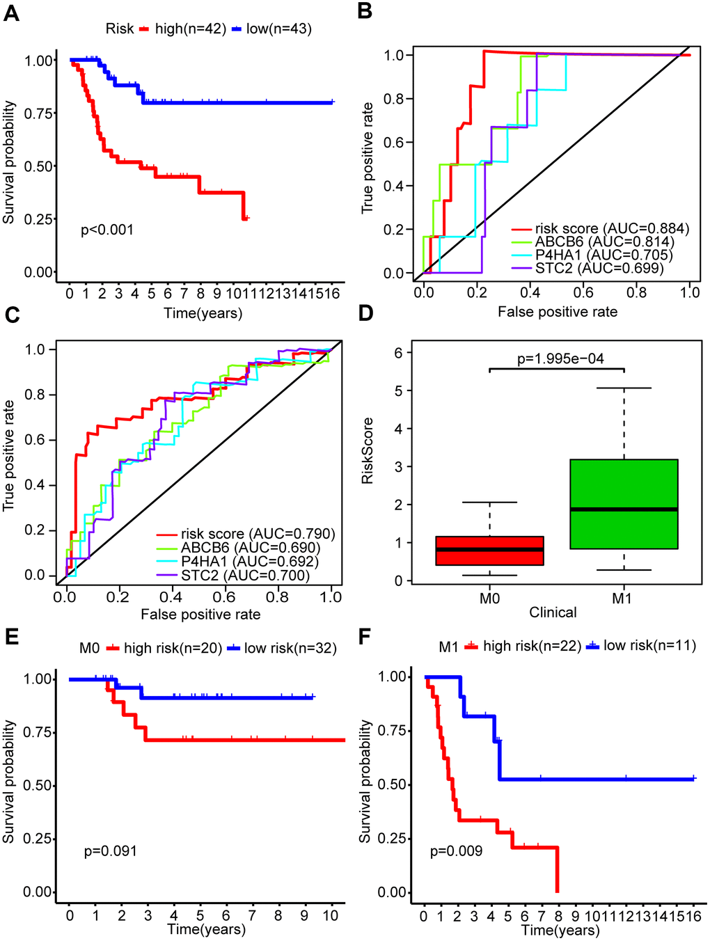 The glycolysis-related risk signature could predict survival rate and metastasis of OS patients. (A) Kaplan-Meier survival curve of overall survival rate among OS patients from the low-risk group and the high-risk group. Patients in high-risk group had the poorer prognosis. (B) Survival prediction between risk score and single gene was assessed by time-dependent receiver operating characteristic (ROC) curve for 1 years. (C) Survival prediction between risk score and single gene was assessed by time-dependent receiver operating characteristic (ROC) curve for 3 years. (D) Risk scores among metastasis and non-metastasis groups. (E, F) Kaplan-Meier survival curve of overall survival rate for prognostic value of risk signature for the patients divided by clinical feature of metastasis.