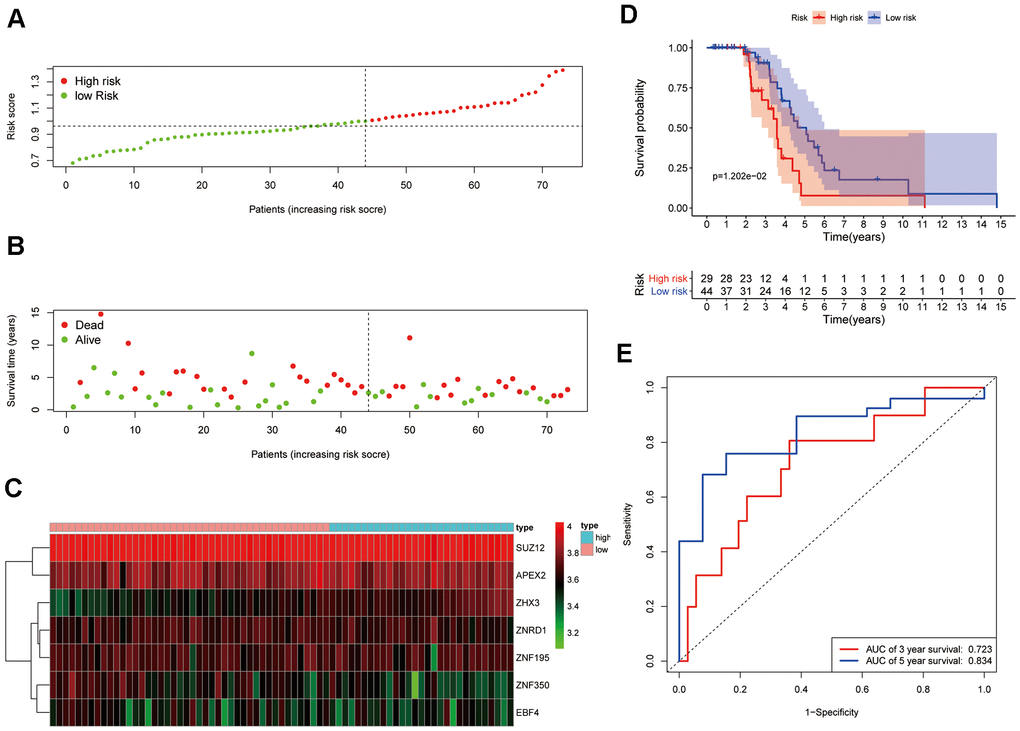 Validation of the 7-ZNF-gene prognostic signature in a GEO dataset. (A) Distribution and median value of the risk scores in the GSE48276 cohort. (B) Survival status of low-risk and high-risk patients. (C) Heatmap of the expression profiles of the 7-ZNF-gene signature. (D) Time-dependent ROC curve of the prognostic signature. (E) Survival analysis of signature-defined risk groups.