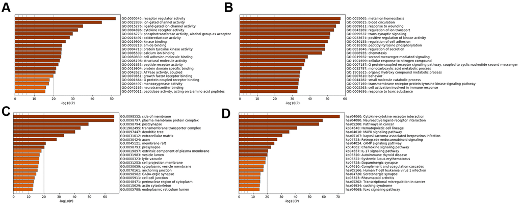 Bar graph of enriched terms across input SSD-specific genes, colored by p-values. Provided gene identifiers were first converted into corresponding H. sapiens Entrez gene IDs using the latest version of the database (last updated on 2020-09-16). If multiple identifiers corresponded to the same Entrez gene ID, they were considered as a single Entrez gene ID in downstream analyses. For each given gene list, pathway and process enrichment analyses were performed using the following ontology sources: (A) GO MFs; (B) GO BPs; (C) GO CCs; (D) KEGG pathways. All genes in the genome were used as the enrichment background. “Log10(P)” is the p-value in log base 10.