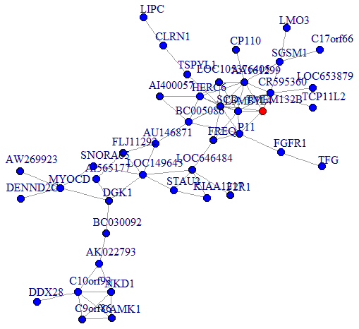 Co-expression subnetworks of MDD-associated genes. Nodes in the network represent genes, and edges represent significant co-expression (≥ 0.80) between two genes. Different colors indicate different strengths of co-expression. The gene colored in red is the hub gene, and genes colored in blue are corresponding genes.