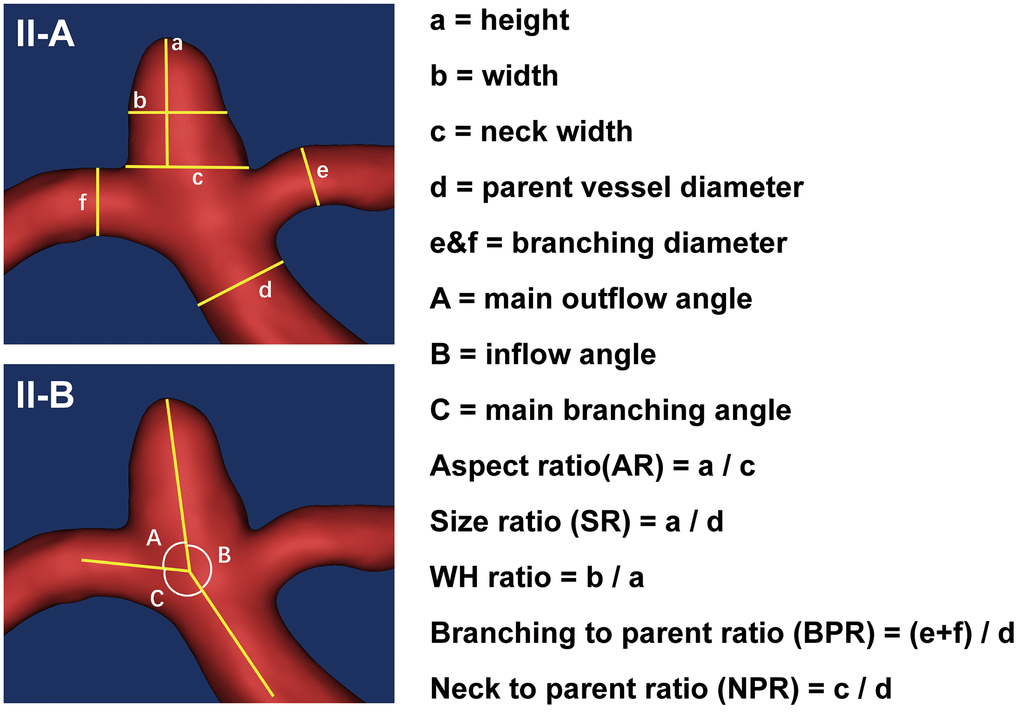 Measurements of the traditional morphological features. (II-A) schematically shows the aneurysm size and diameters of parent and branch vessels measurements, with the height (a), width (b), neck width (c), the diameter of the parent vessel (d), diameters of the branching vessel (e and f). (II-B) shows the angle measurements. The outflow angle (A) was defined as the angle at which the aneurysm flows outward to the distal parent artery in the sidewall aneurysm or to the daughter branch most approaching 180° in the bifurcation aneurysm. The inflow angle (B) was defined as the angle from the parent artery into the aneurysm. The main branching angle (C) was defined as the angle of the parent artery in the sidewall aneurysm or the angle between the parent artery and the daughter branch most approaching 180° in bifurcation aneurysm. In addition, several indicators were calculated: aspect ratio (AR) was defined as the ratio of aneurysm height (a) to the neck width (c); size ratio (SR) was defined as the ratio of aneurysm height (a) to the parent vessel diameter (d); WH ratio was defined as the ratio of aneurysm width (b) to the height (a); branching to parent ratio (BPR) was defined as the ratio of the sum of the diameters of the branch vessels (e + f) to the diameter of the parent artery (d) (in case of a sidewall aneurysm, the BPR was set to 1); neck to parent ratio (NPR) was defined as the ratio of the aneurysm neck width (c) to the parent artery diameter (d).