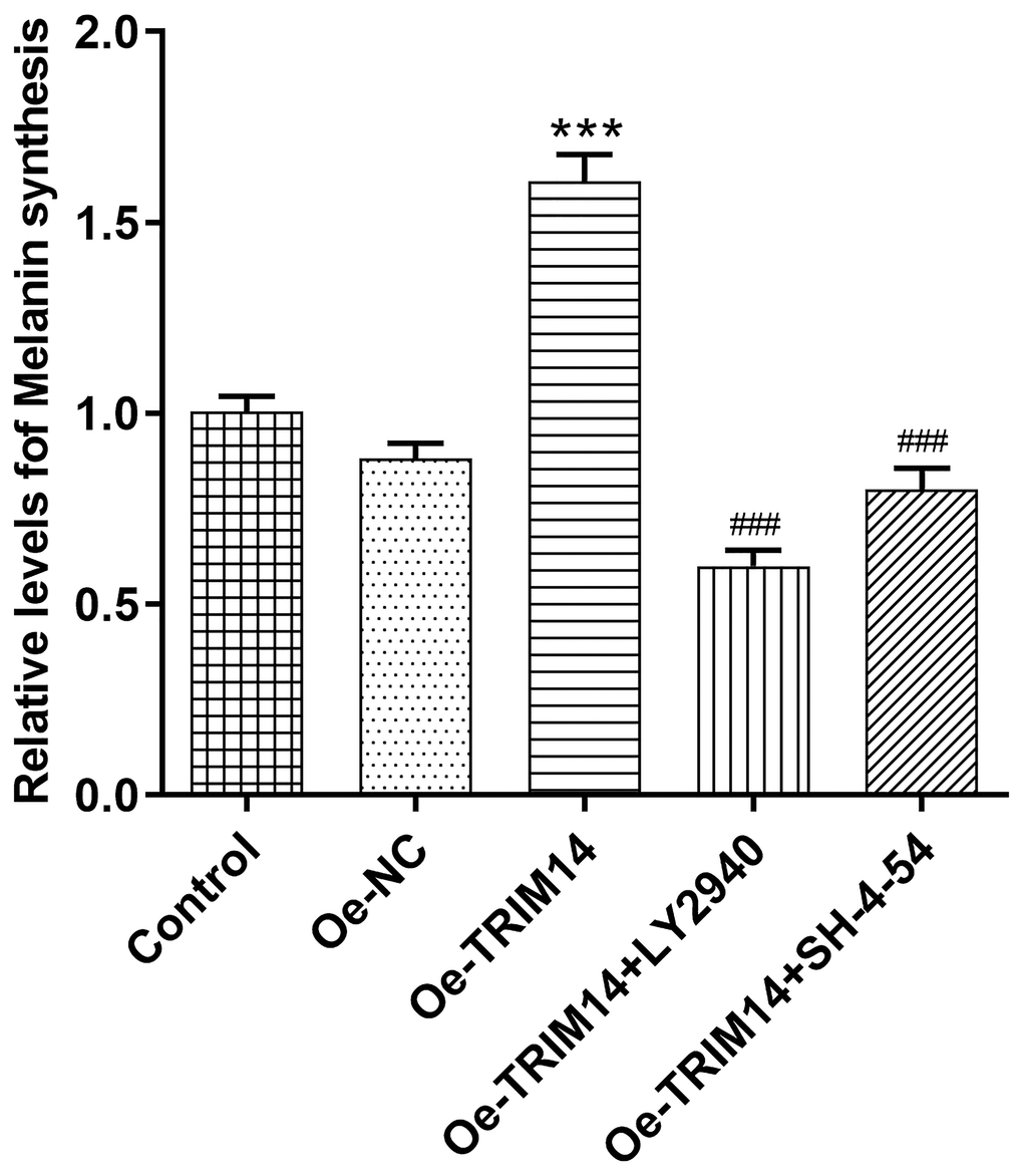 Overexpression of TRIM14 upregulated melanin synthesis of melanoma cell via AKT and STAT3 pathways. After indicated treatment, the melanin synthesis abilities of different groups in A375 cells were measured. ***p ###p 