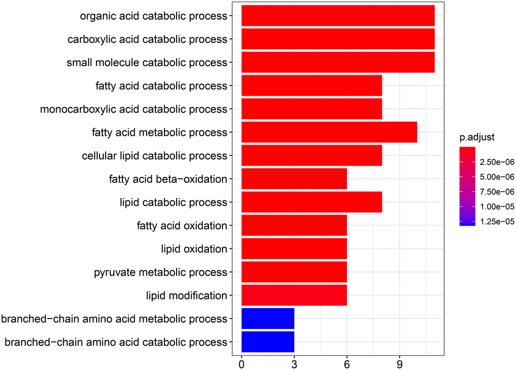 GO analysis showing the biological processes and molecular functions associated with the differentially expressed genes in aerobic respiration.