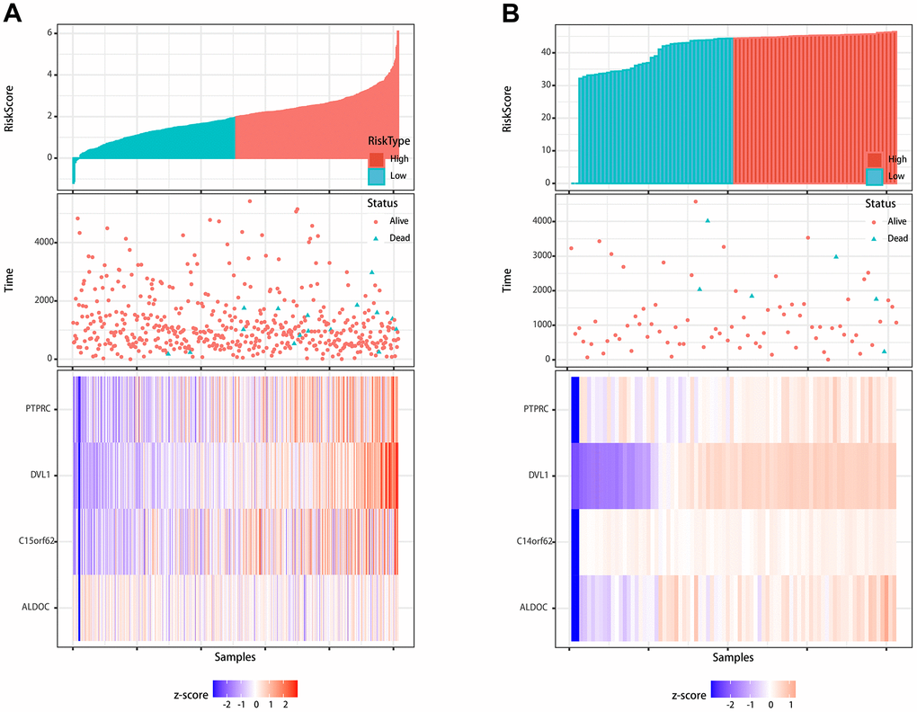 Visualization of the prognostic signature. (A) Visualization of the signature in the TCGA cohort. (B) Visualization of the signature in the validation cohort.