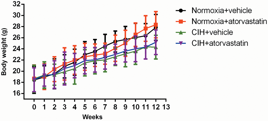 Mean body weight by group at indicated time points. Two-way ANOVA for repeated measures was used to examine interaction effects between week and CIH; the results showed that this interaction was not statistically significant [F = 0.494, p > 0.05]. Body weights tended to be lower in the CIH group during the last 3 weeks than in the normoxia group, but this difference did not reach statistical significance (CIH + vehicle vs. normoxia + vehicle: 23.58 ± 2.35 vs. 26.01 ± 2.58 at week 10, 24.36 ± 2.18 vs. 26.35 ± 2.18 at week 11, and 24.32 ± 2.13 vs. 27.84 ± 2.32 at week 12, p > 0.05).