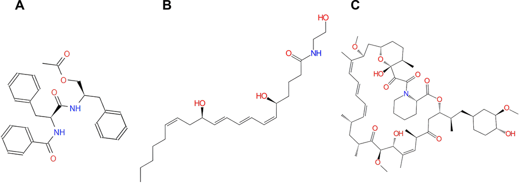 The structures of Rapamycin and novel compounds selected from virtual screening. (A) ZINC000013374324; (B) ZINC000012495776; (C) Rapamycin.