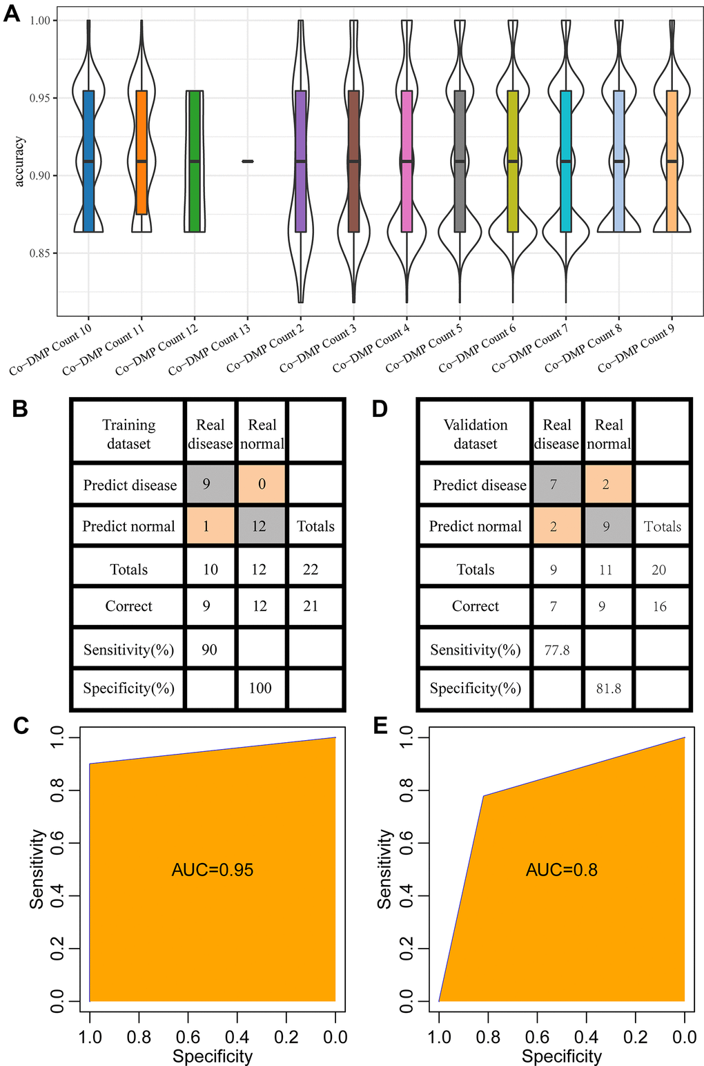 Establishment of diagnostic model. (A) The accuracy of different combinations of co-DMPs in periodontitis prediction. (B) The classification of samples in the training data set by the diagnostic model. (C) The ROC curve of the diagnostic model in the training data set. (D) The classification of samples in the validation data set by the diagnostic model. (E) The ROC curve of the diagnostic model in the validation data set.