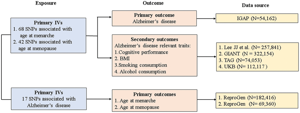 Study design and data sources. IGAP, International Genomics of Alzheimer's Project; ReproGen, Reproductive Genetics Consortium; GIANT, Genetic Investigation of Anthropometric Traits; TAG, Tobacco and Genetics Consortium; UKB, UK biobank IVs, instrument variables; SNP, single-nucleotide polymorphism; BMI, body mass index.