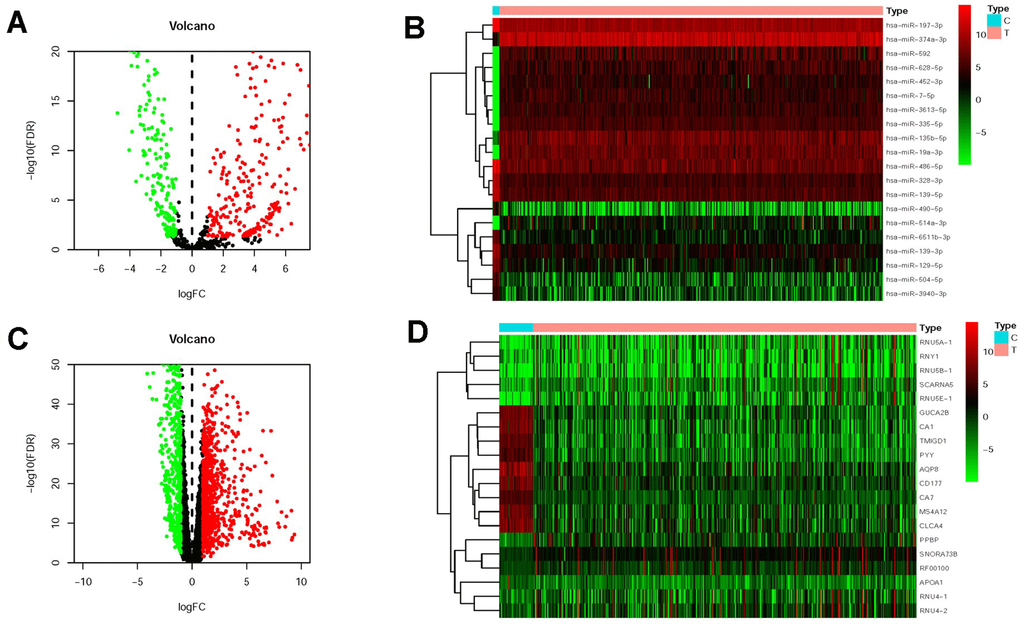 Differentially expressed miRNAs and mRNAs in CRC. The differentially expressed miRNAs (DMIRs) in CRC and adjacent non-tumor tissues were showed in the volcano plot (A) and heatmap (B) based on TCGA database. Volcano plot (C) and heatmap (D) demonstrated the differentially expressed mRNAs between CRC tissues and adjacent normal tissues based on TCGA database. The red parts represented the upregulated genes; the green parts represented the downregulated genes, and the black parts represented the genes without significant difference. FDR 2 | FC | >1 and P 