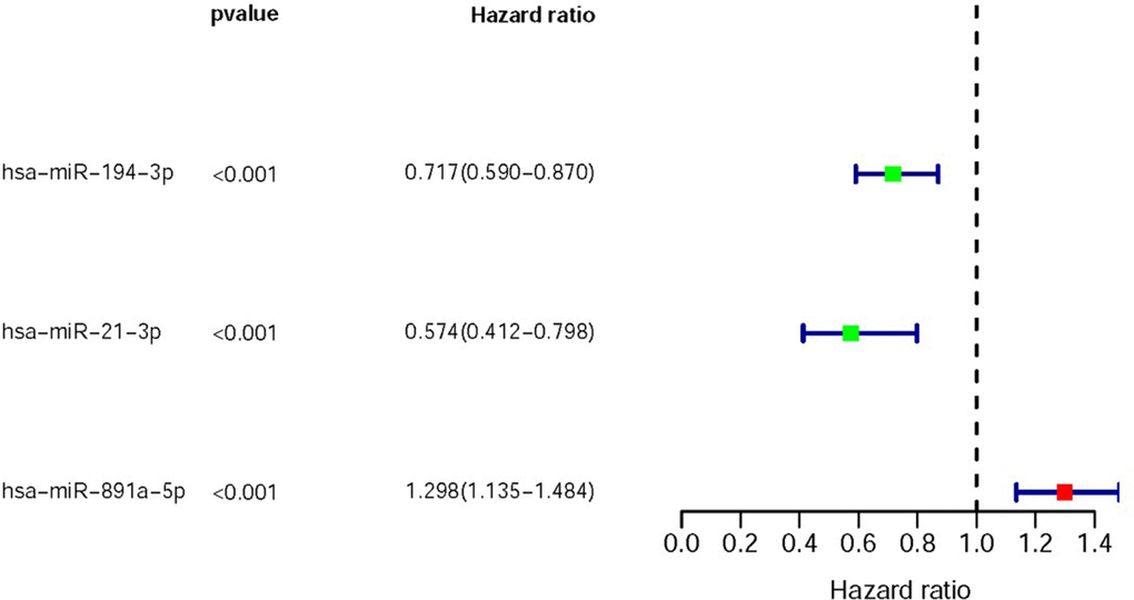 DMIRs with significant clinical outcomes. The forest plot showed the survival-related hazard ratio of sDMIRs (hsa-miR-194-3p, hsa-miR-21-3p and hsa-miR-891a-5p) based on TCGA database. Red parts represented the up-regulation, and green parts represented the down-regulation.