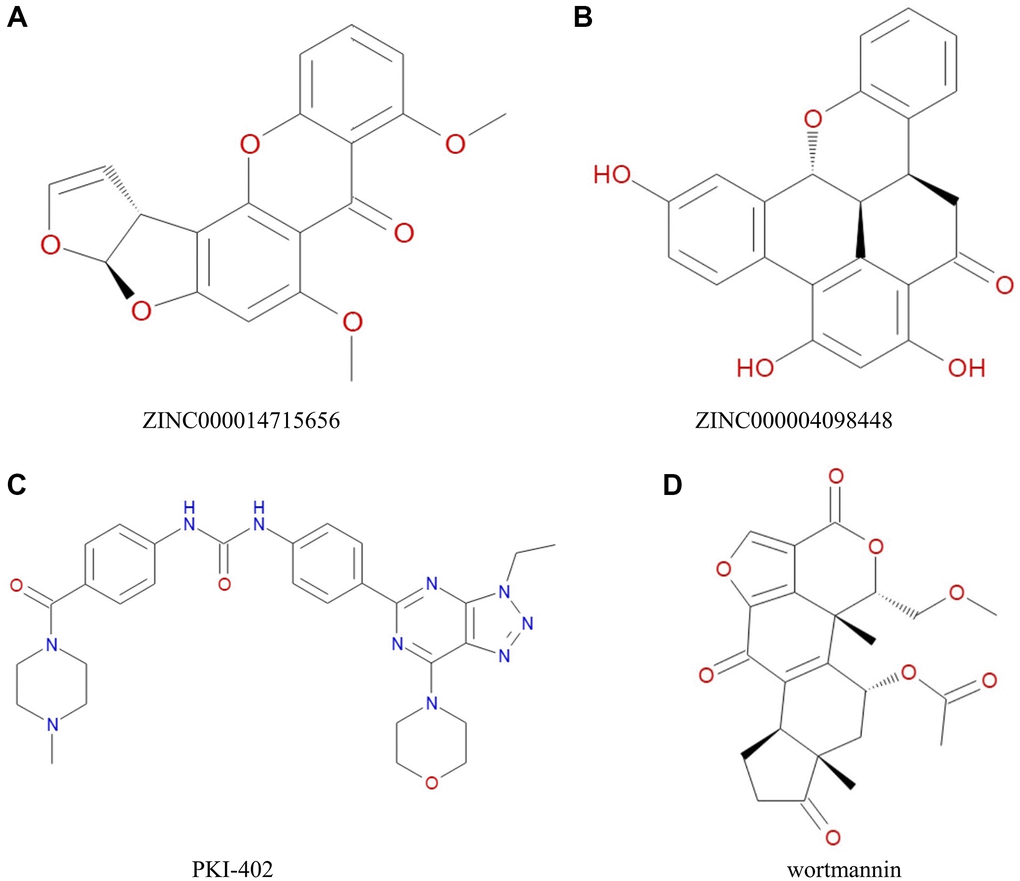 Chemical structure of (A) ZINC000014715656 (B) ZINC000004098448 (C) PKI-402 (D) Wortmannin.