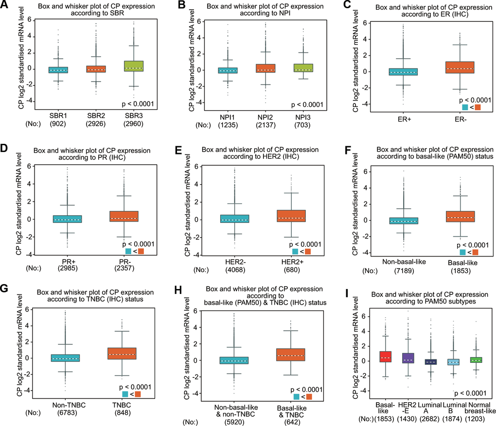 Ceruloplasmin expression in BRCA patients based on various pathological characteristics was assessed using bc-GenExMiner v4.5. Box plots are shown for the SBR grade (A), NPI index (B), status of ER (C), PR (D) and HER-2 (E), basal-like (F), TNBC (G), basal-like and TNBC status (H) and PAM50 subtypes (I).