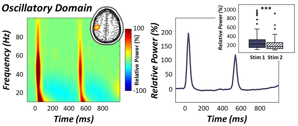 Oscillatory response to electrical stimulation. (Left): Time-frequency spectrogram over the sensorimotor cortices (M0443) revealed robust broadband gamma responses (i.e., 30-75 Hz) following the first and second stimulation of the right median nerve. Time is denoted on the x-axis (in ms) and frequency is denoted on the y-axis (in Hz), with units being the percent power change from baseline (-700 to -300 ms). A color scale bar denoting the directionality of this change is shown to the right of the graphic. Grand-averaged beamformer images (i.e., across all participants and both stimulations) revealed strong increases in gamma activity in the contralateral hand region of the primary somatosensory cortex (inset in top right). (Right): The neural time course of the relative power envelope (30-75 Hz band) was extracted from the peak voxel in the contralateral somatosensory cortex and is shown averaged across all participants. Oscillatory responses to the second stimulation in the pair were strongly attenuated compared to the first (box plot inset in top right), indicative of significant gating of gamma activity across all participants. ***p 