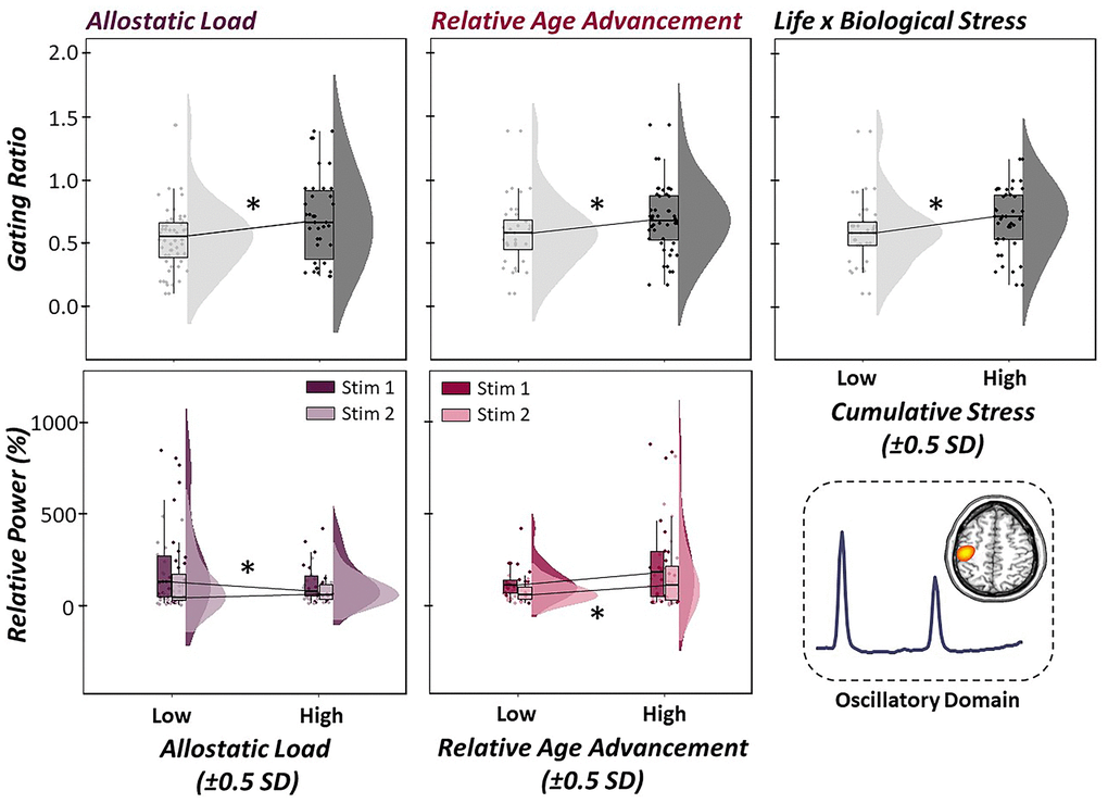 Life and biological stress differentially predict gamma oscillatory responses. (Top Panel): Multiple regressions of life stress (i.e., allostatic load, left), biological stress (i.e., relative age acceleration, middle) and their interaction (i.e., cumulative stress, right) on the gating of gamma activity in the primary somatosensory cortex were conducted. Raincloud plots (combined box plot, histogram distribution and individual scattered data points) denote somatosensory outcome metrics at low and high levels of each stressor (i.e., ±0.5 SDs). Life, biological and cumulative stress were all significant predictors of gating ratios, such that increased stress was associated with higher gating ratios, indicative of worse suppression of redundant sensory input. (Bottom Panel): Follow-up regressions of life and biological stress on neural response to stimulation 1 (darker color) and 2 (lighter color) in the paired-pulse paradigm revealed differential modulation of stimulation response based on stressor type. Allostatic load was significantly predictive of oscillatory responses to the first stimulation, such that higher levels of life stress led to reduced neural response to the first stimulation in the pair. In contrast, relative age acceleration was predictive of the oscillatory response to the second stimulation, such that greater biological age led to less attenuated response power to the second stimulation. All axes are fixed for each graph per row. *p 