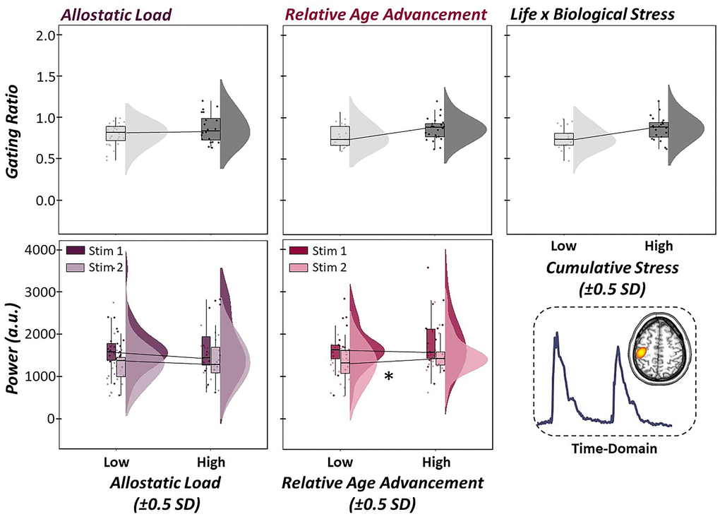 Evoked somatosensory neural responses are unaffected by stressors. (Top Panel): Multiple regressions of life stress (i.e., allostatic load, left), biological stress (i.e., relative age acceleration, middle) and their interaction (i.e., cumulative stress, right) on sensory gating in the time-domain. Raincloud plots (combined box plot, histogram distribution and individual scattered data points) denote somatosensory outcome metrics at low and high levels of the stressor (i.e., ±0.5 SDs). Life, biological and cumulative stress were not significantly predictive of gating in the time-domain. (Bottom Panel): Follow-up regressions of life and biological stress on neural response to stimulation 1 and 2 sequentially in the paired-pulse paradigm also showed no change in time-domain response power as a function of life stress, although increases in relative age acceleration were significantly predictive of greater neural responses to the second stimulation, but not the first. All axes are fixed for each graph per row. *p 