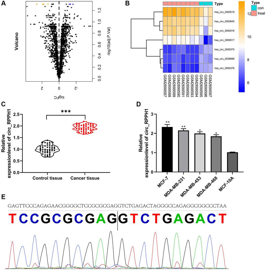 Expression of circ