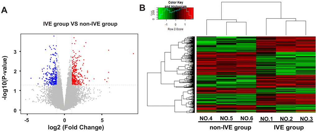 DEGs and hierarchical clustering analysis in the IVE group compared with the non-IVE group. (A) Volcano plot of DEGs between the IVE group and the non-IVE group. Genes significantly up-regulated are highlighted in red while down-regulated genes are highlighted in blue. The P-value threshold and cutoff of absolute fold change were 2, respectively. (B) Heat map clustering of gene expression in cancer tissue resected from six patients. Each column represents 1 individual patient tumor and each row represents 1 gene. Color indicate normalized counts of each gene, with red representing higher expression and green relatively lower expression.