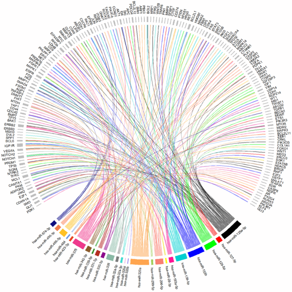 Chord-dendrogram of the interactions between differently expressed miRNAs and altered genes in CRC. The interactions between the 25 differently expressed miRNAs identified and the 173 experimentally validated target genes were obtained through MirTarBase. Target genes’ role in CRC is according to CoReCG database. All targets are represented in grey, while each miRNA is represented by one colour. MiRNA:target interactions are represented by a line of the same colour of the respective miRNA. The size of rectangle next to the name of the miRNAs and target genes is proportional to the number of interactions they perform.