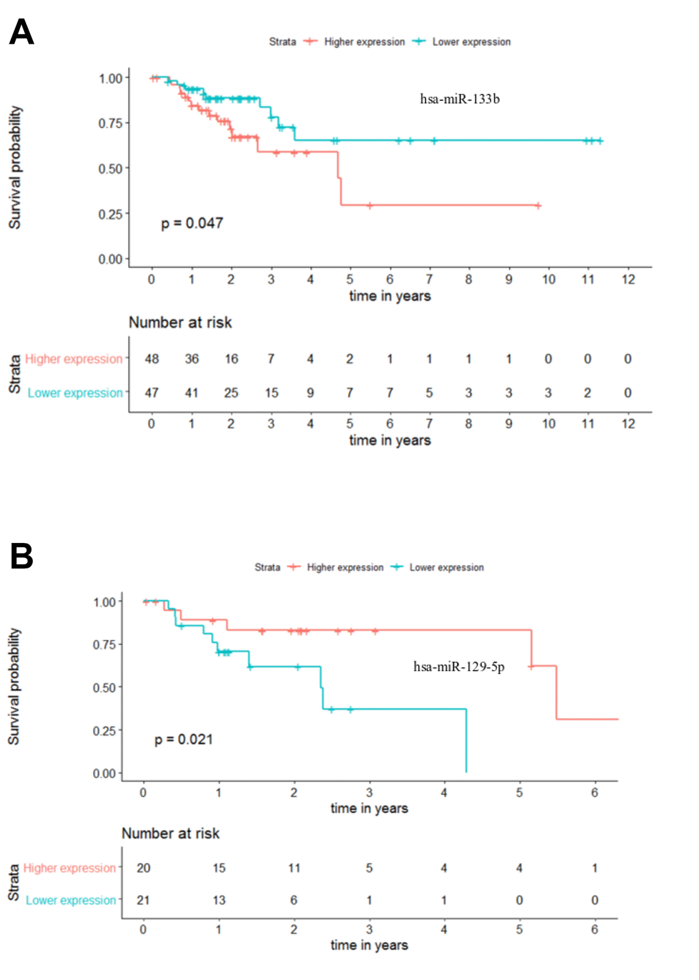 Individual miRNA overall survival (OS) prognosis for stage III and stage IV patients. (A) Stage III OS Kaplan-Meier curve for miR-133b (p-value = 0.047, Log rank; HR = 2.28) (B) Stage IV OS Kaplan-Meier curve for miR-129-5p (p-value = 0.021, Log rank; HR = 4.23). Time is represented in years. Higher (in red) and Lower (in blue) expression groups represent the patients with miRNA expression above and below miRNAs’ median expression, respectively. Censored data is represented by small plus signs in each group. The number of patients at risk for each group and per time point is shown in the table below each graph. HR, hazard ratio.