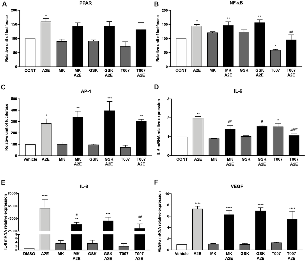 PPAR-α and PPAR-γ antagonists partly reproduce the effects of norbixin on inflammation but not on VEGF expression induced by A2E in RPE cells in vitro. Effect of PPAR-α, -β/δ and -γ selective antagonists MK886 (MK, 1 μM), GSK3787 (GSK, 1 μM) and T007907 (T007, 10 μM) respectively alone or with A2E (20 μM) on PPAR (A), NF-κB (B) and AP-1 (C) transactivation, and on IL-6 (D), IL-8 (E) and VEGF (F) mRNA expression. Bars represent mean ± s.e.m. with n = 3 * or #p ** or ##p ***p **** or ####p 