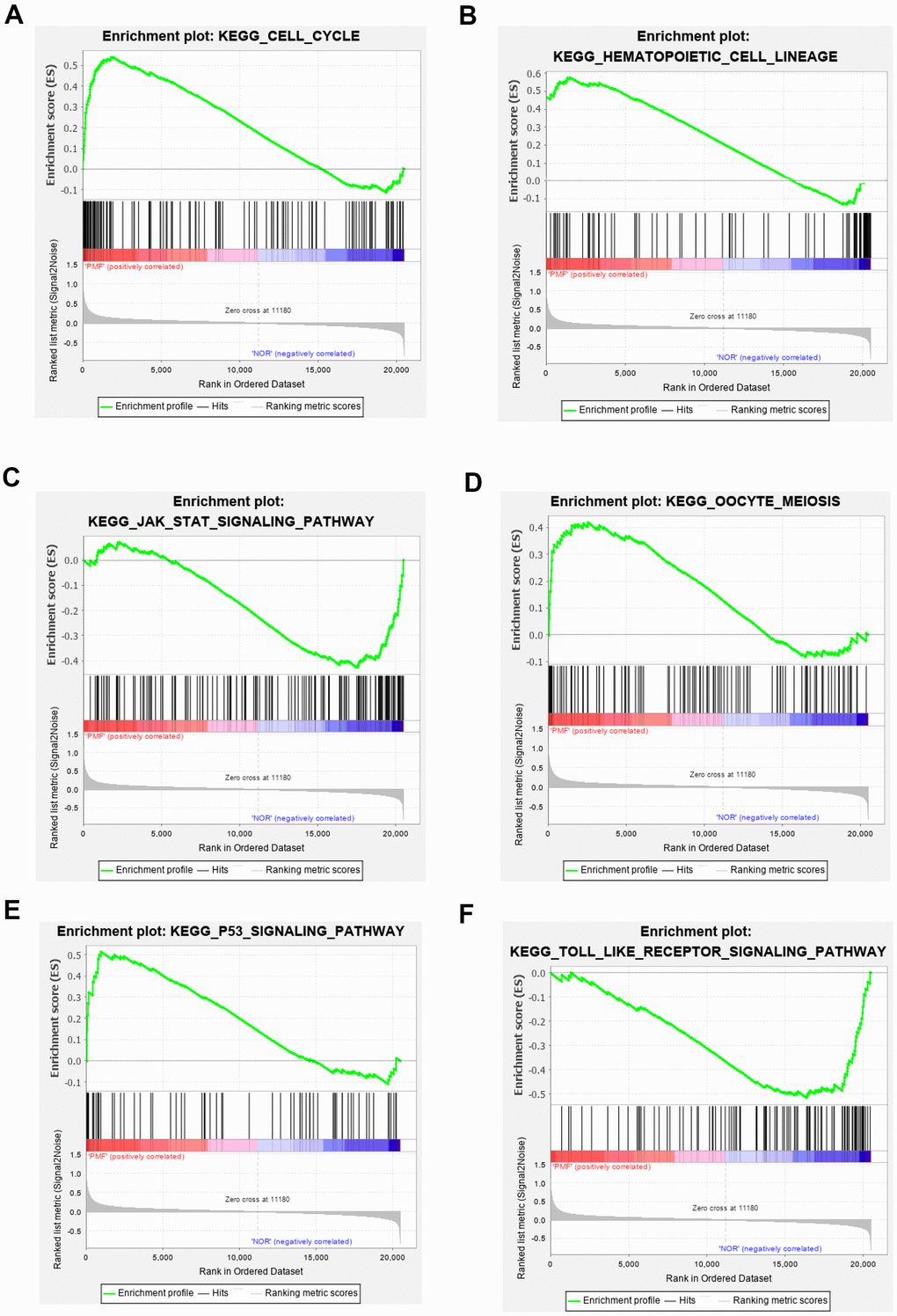 (A–F) Gene set enrichment analysis of KEGG pathways in green module.