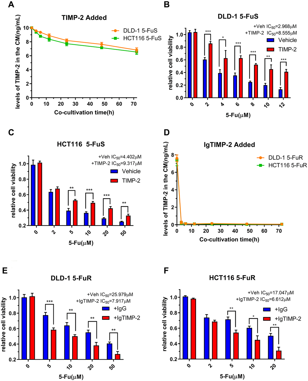 TIMP-2 promotes CRC cell resistance to 5-Fu through an autocrine mechanism. (A) Changes in TIMP-2 protein levels in the cell culture medium (CM) of DLD-1 5-FuS cells and HCT116 5-FuS cells 3 days after treatment with 10 ng/mL of recombinant TIMP-2. (B, C) Relative cell viabilities of DLD-1 5-FuS cells and HCT116 5-FuS cells under increasing concentrations of 5-Fu for 3 days after culture with 10 ng/mL of recombinant TIMP-2. (D) Changes in TIMP-2 protein levels in the cell culture medium (CM) of DLD-1 5-FuR cells and HCT116 5-FuR cells for 3 days of culture with 5 μg/mL of TIMP-2 neutralizing antibody. (E, F) Relative cell viabilities of DLD-1 5-FuR cells and HCT116 5-FuR cells under increasing concentrations of 5-Fu for 3 days of culture with control IgG or 5 μg/mL of TIMP-2 neutralizing antibody. Data from triplicate wells for 3 independent experiments. *p **p ***p t-test or one-way ANOVA.