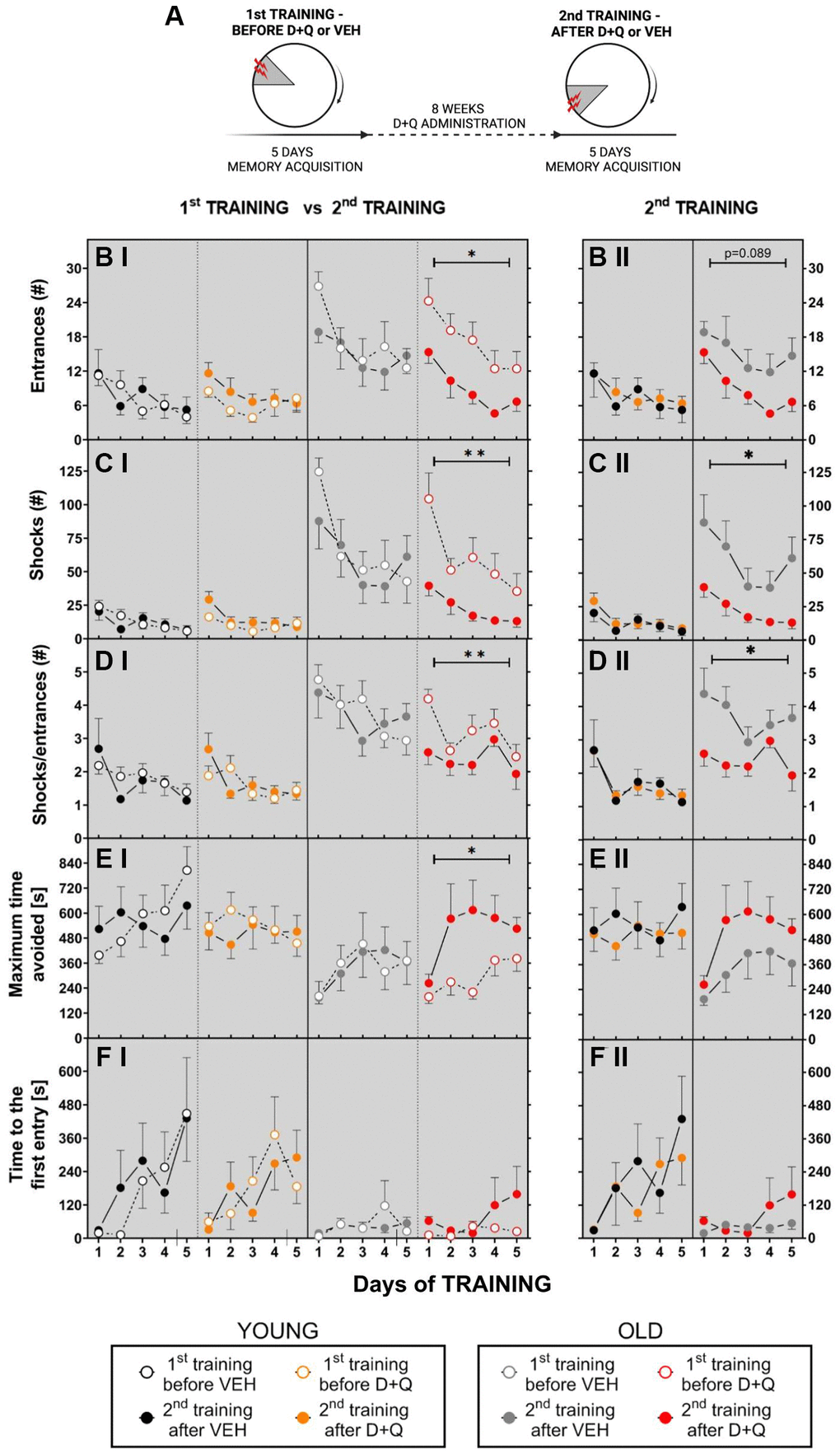 Treatment with D+Q improved cognitive ability in aged rats tested in the AAPAT on spatial memory. (A) Schematic diagram of the experimental design. Experiments consisted of 2 trainings, each with a different position of to-be-avoided place. The number of entries into the shock place (# of entries, B), the number of shocks (# shocks, C) and the number of shocks per one entry ratio (Shocks/entrance, D), together with maximum time avoided (E) and time to the first entry (F) during place avoidance training reflect changes in the learning abilities and memory in aged rats. Performance of place avoidance by young (3-mo old; YOUNG; N = 7) (black - vehicle, orange - D+Q) and aged (22-mo old; OLD; N = 7) (grey - vehicle, red - D+Q) rats in the AAPAT before and after 8 weeks of treatment with D+Q or vehicle (VEH) by oral gavage. Figures labeled with “I” depict comparison between 1st TRAINING and 2nd TRAINING, “II” between VEH and D+Q groups results of the 2nd TRAINING. The results are expressed as mean ± SEM, N = 7, *p **p ***p 