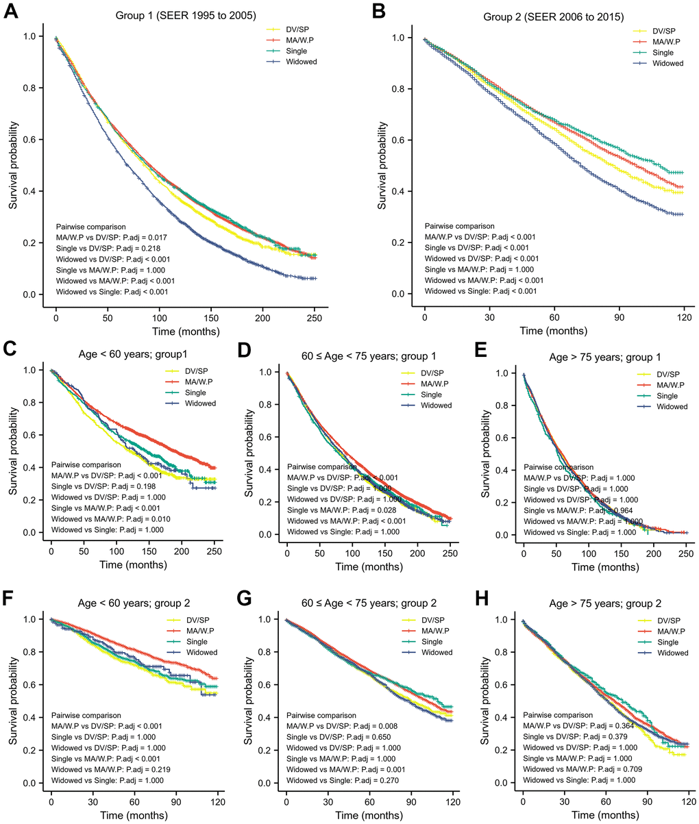 Kaplan-Meier analysis and log-rank test revealed that impact of marital status on OS varies in different time period (A, B) and in different age-strata (C–H).