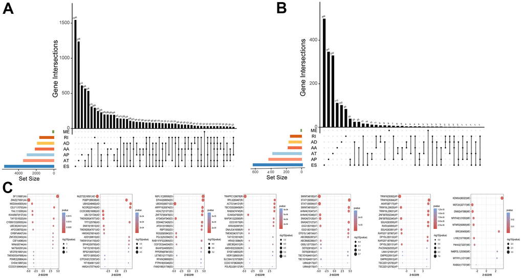 Profiling of AS events in UM. (A) The Upset plots of all AS events with UM. (B) The Upset plots of survival-relevant AS events. (C) The top 20 most significant survival-relevant AAs, ADs, ATs, APs, ESs, MEs and RIs is shown in the bubble chart.