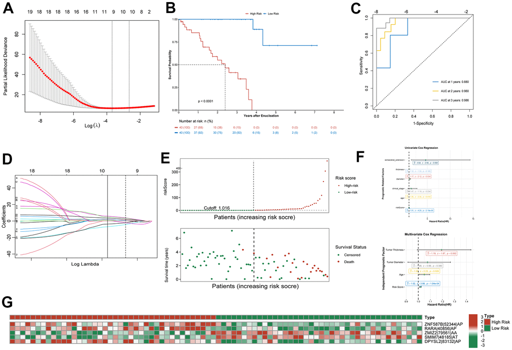 Confirmation of prognostic signature. (A) Parameter selection in the lasso regression. (B) Kaplan–Meier curve show survival in the high-risk and low-risk groups. (C) ROC analysis predict risk score for 1-, 2-, and 3-year overall survival. The AUC was calculated for ROC curves. (D) LASSO coefficient profiles of survival-related AS events. (E) Distribution of risk score and the survival time of UM patients. (F) Proportional hazards model results show Univariate Cox regression and Multivariate Cox regression results. (G) Heatmap of the survival-related AS events PSI value in UM.