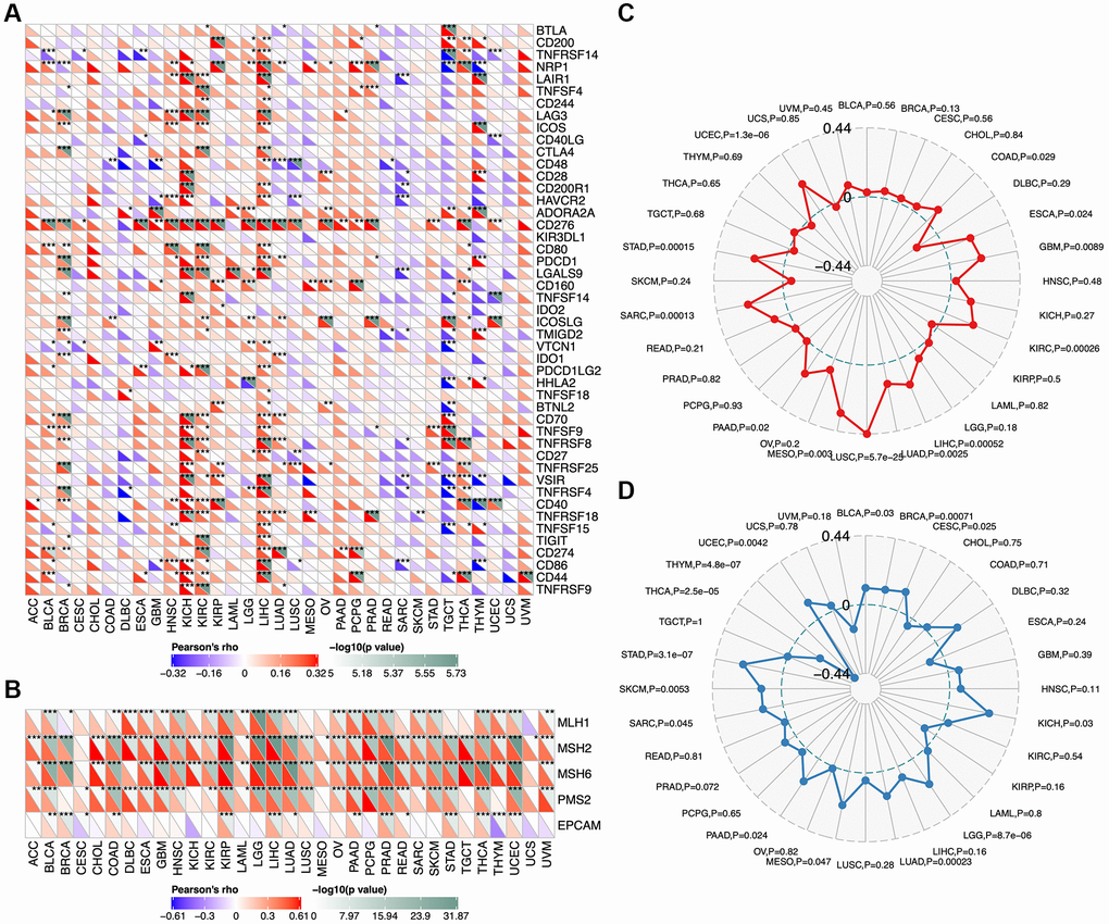 Relationship of TCOF1 and immunotherapy. (A) Correlations between TCOF1 and confirmed immune checkpoints across cancers. (B) Correlations between TCOF1 and five essential genes for MMR in multiple cancers. (C, D) Correlations of TCOF1 with (C) MSI and (D) TBM. *P **P ***P 