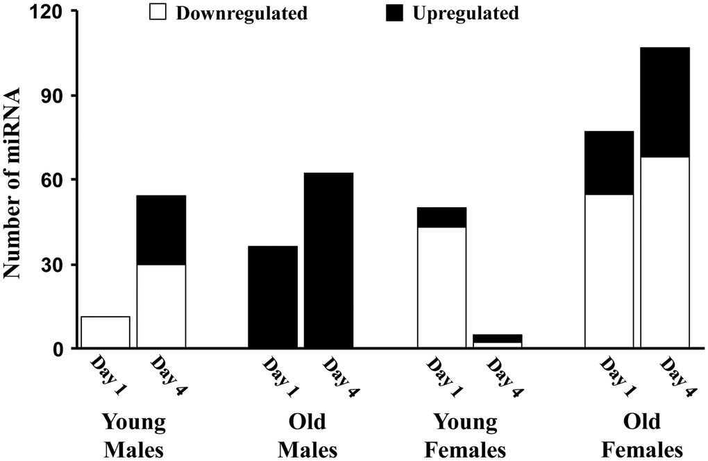 The number of miRs differentially expressed for each age and sex group. Summary of the total number of miRs increased (black) or decreased (white) expression in the hippocampus 1 or 4 days after sepsis relative to age-matched controls.