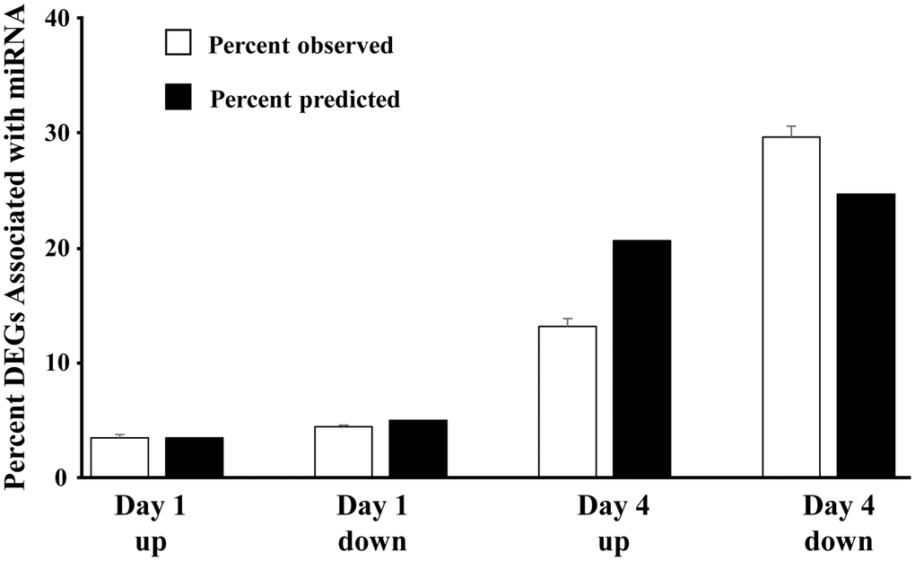 Direction of mRNA expression associated with increased miR expression on day 1 and day 4 post-sepsis. The open bars represent the mean + SEM percent of total differentially expressed genes, associated with the 22 miRs that increased in older males on day 1 and day 4, for each category (Day 1 and Day 4 up and downregulated genes). The filled bars represent the percent of differentially expressed genes, relative to day 1 upregulated, which are expected due to an increase in the total number of differentially expressed genes. Note that for day 4, the percent of upregulated differentially expressed genes is 68% of predicted and the percent of downregulated differentially expressed genes is 120% of predicted, suggesting that upregulated miRs are gaining control (i.e., downregulating) the associated mRNA.