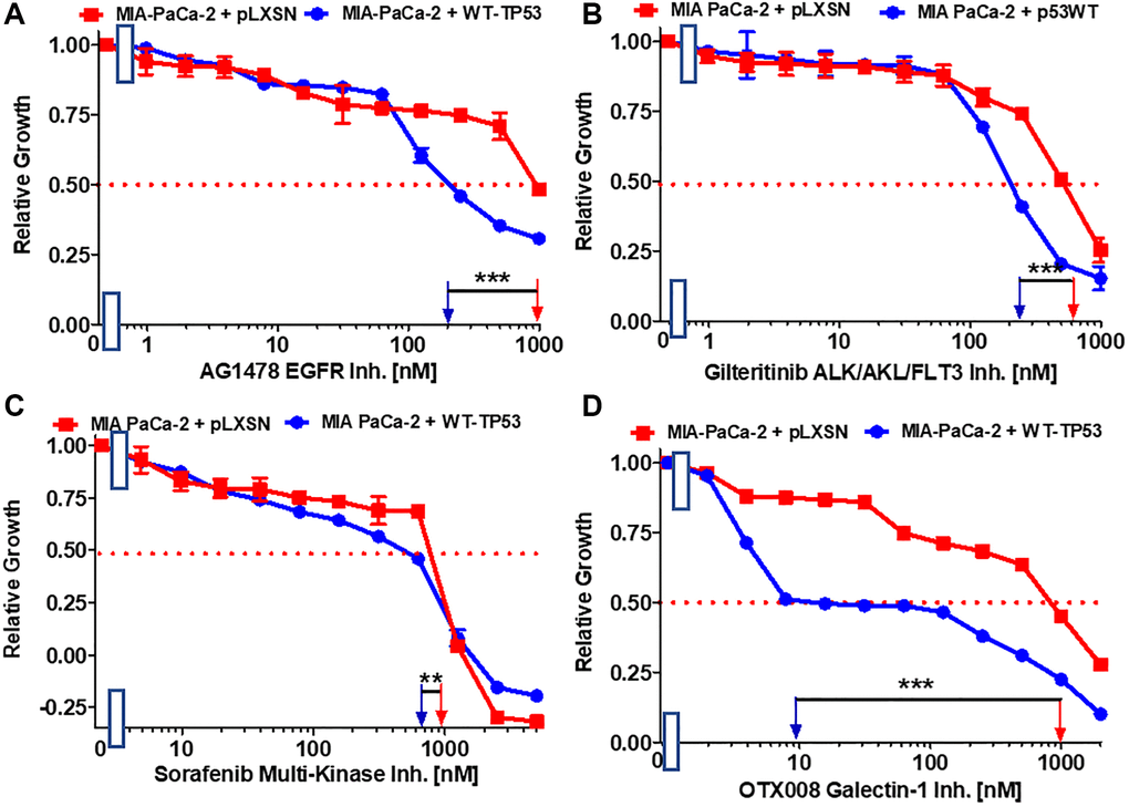 Effects of inhibitors which may suppress metastasis on the growth of MIA-PaCa-2 + WT-TP53 and MIA-PaCa-2 + pLXSN cells. The effects of the AG1478 EGFR inhibitor (A), the gilteritinib ALK/AXL/FLT3 inhibitor (B), the sorafenib multi-kinase inhibitor (C) and the galectin-1 inhibitor OTX008 (D) on MIA-PaCa-2 + pLXSN cells (solid red squares) and MIA-PaCa-2 + WT-TP53 cells (solid blue circles) were examined by MTT analysis. The MIA-PaCa-2 + WT-TP53, and MIA-PaCa-2 + pLXSN cells in each panel were all examined at the same time period. These experiments were repeated and similar results were obtained. Statistical analyses were performed by the T test on the means and standard deviations of various treatment groups. ***P **P 