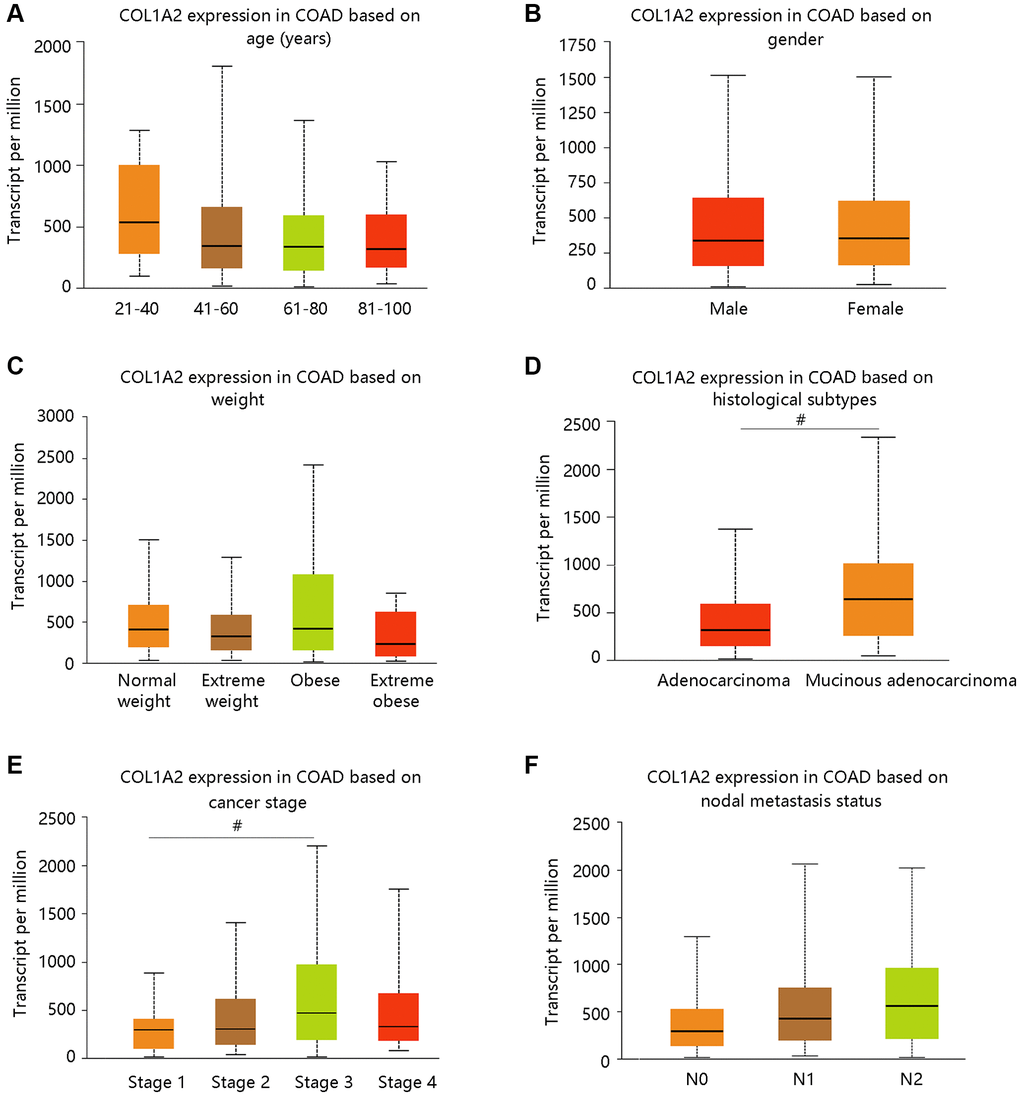 The COL1A2 expression in colon adenocarcinoma based on various clinicopathological parameters. (A) Age (years). (B) Gender. (C) Weight. Normal weight: 18.5 ≤BMI  40. Abbreviation: BMI: body-mass-index. (D) Histological subtypes. (E) Cancer stage. (F) Nodal metastasis status. #P 