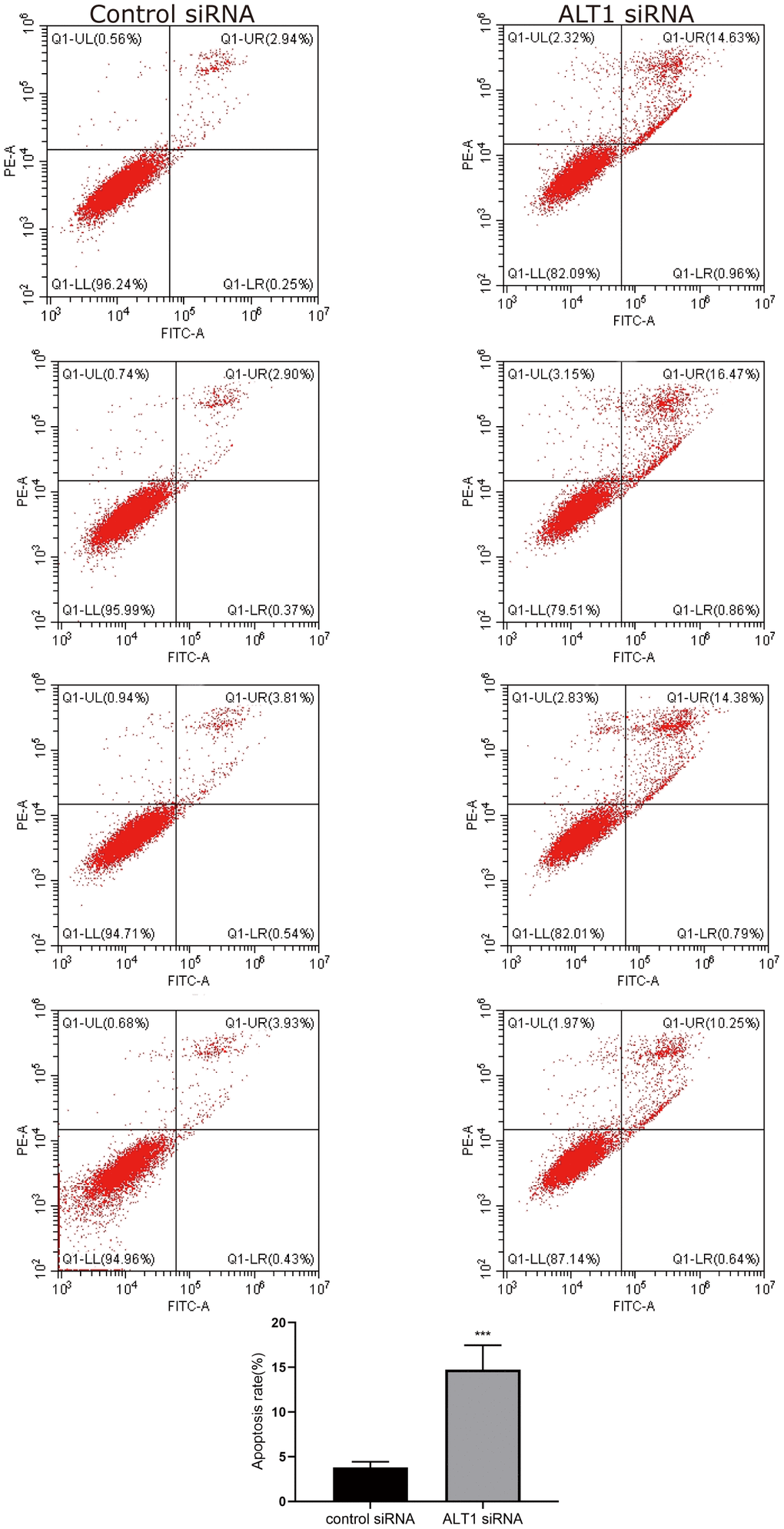 Flow cytometry images and quantitative analysis results of HepG2 cell apoptosis.